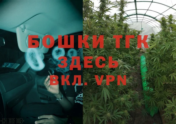 дживик Балахна