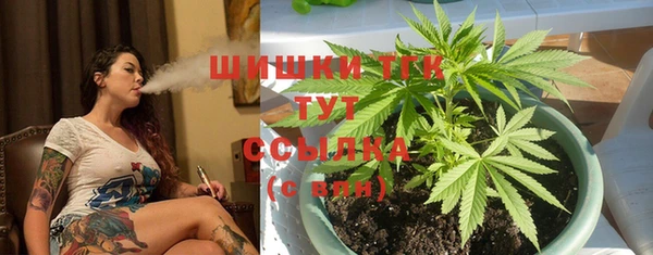 дживик Балахна